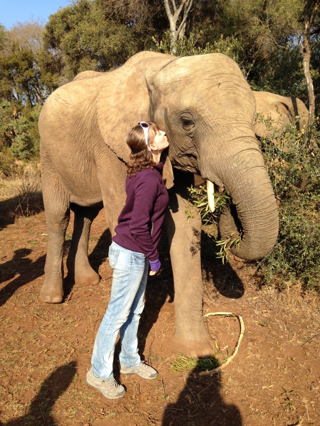 Elephant Kiss